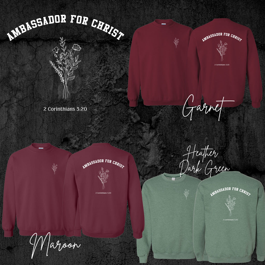 Ambassador for Christ