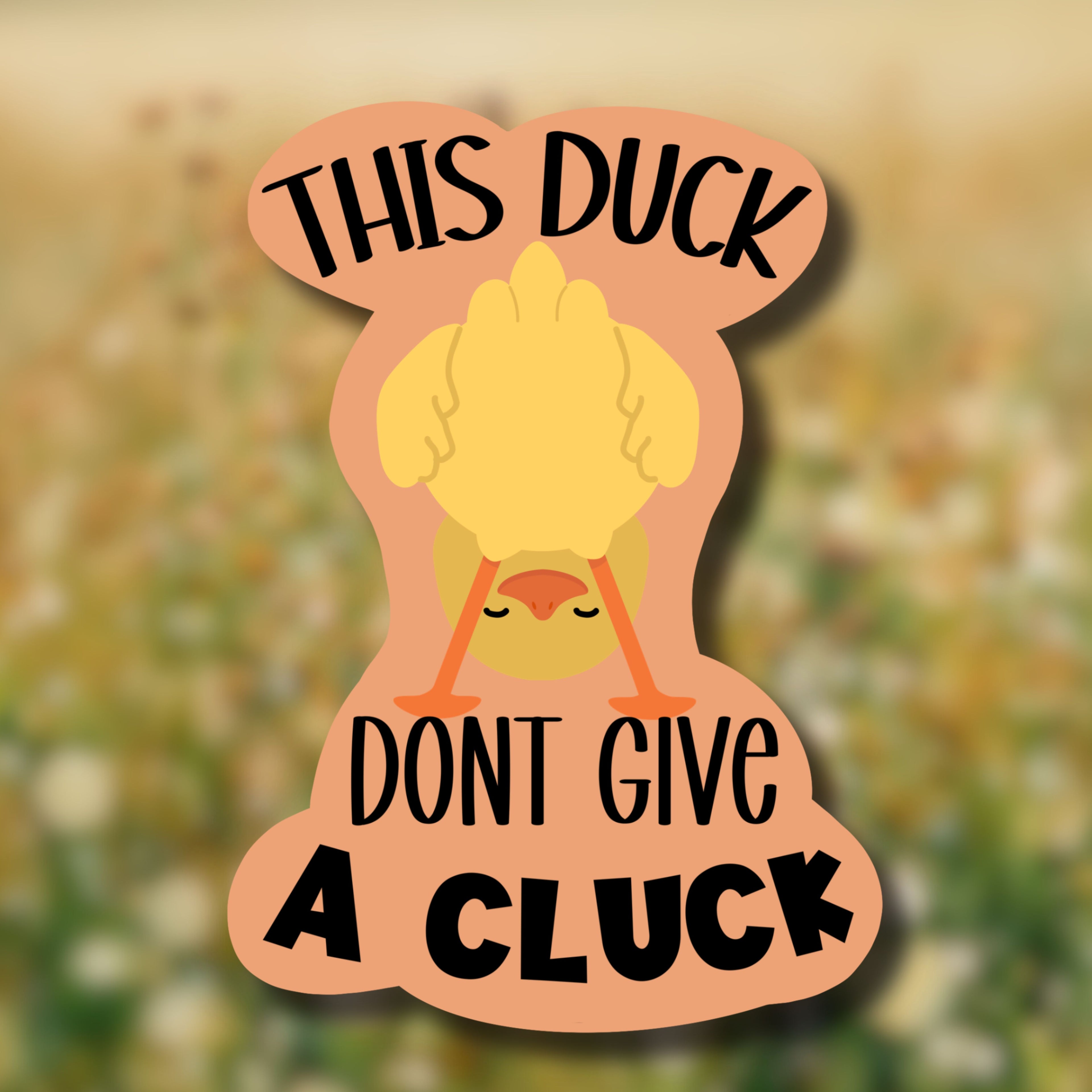 This Duck Don't Give a Cluck